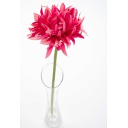 Gerbera singola in ramo - 57 CM in vari colori pastello - Fucsia