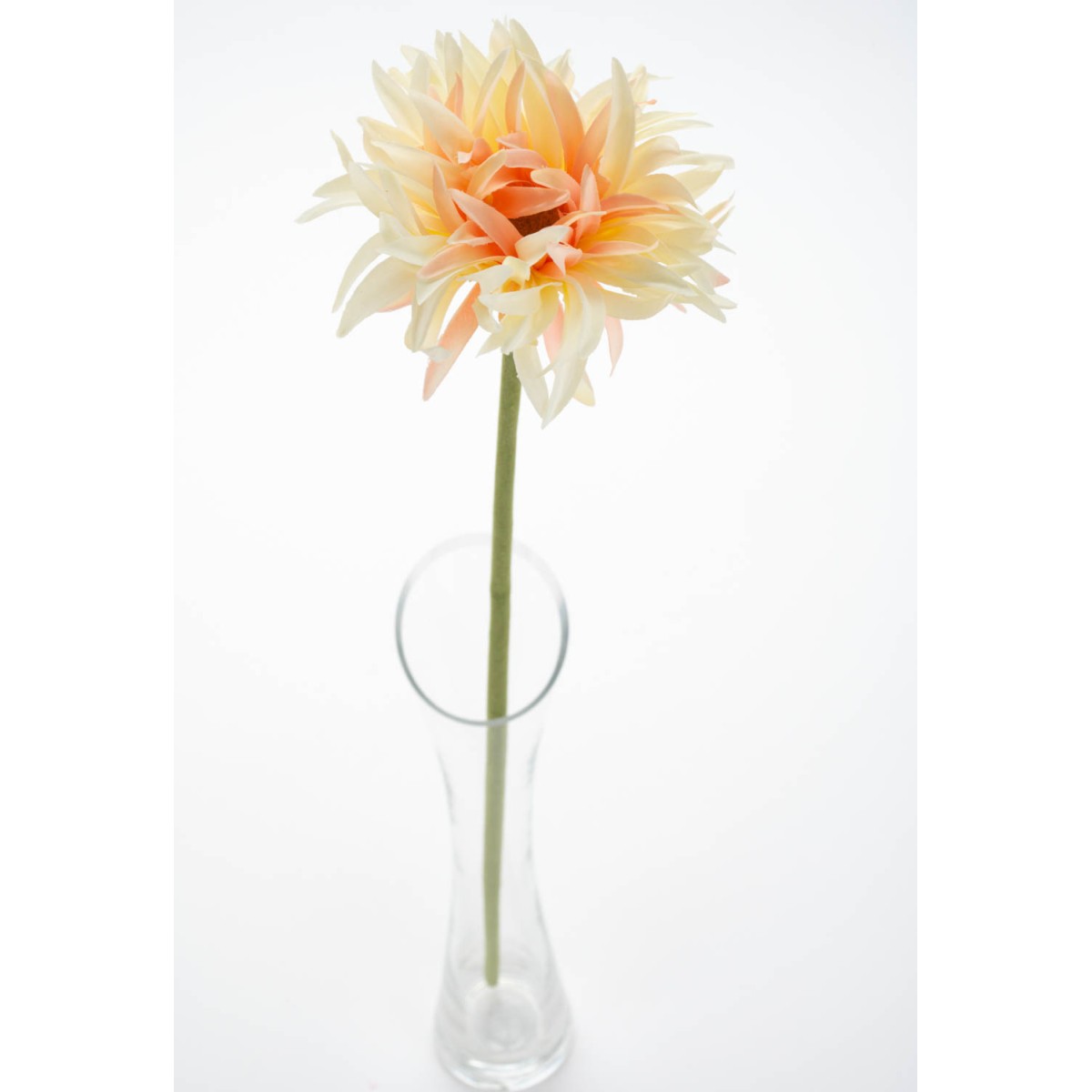 Gerbera singola in ramo - 57 CM in vari colori pastello - Salmone