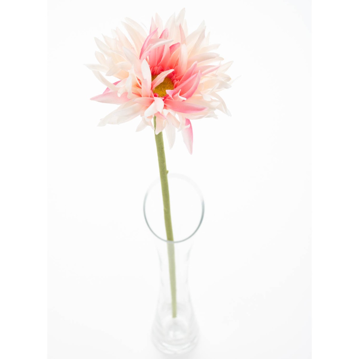 Gerbera singola in ramo - 57 CM in vari colori pastello - Rosa