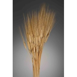 Grano baffo bianco - 400 G