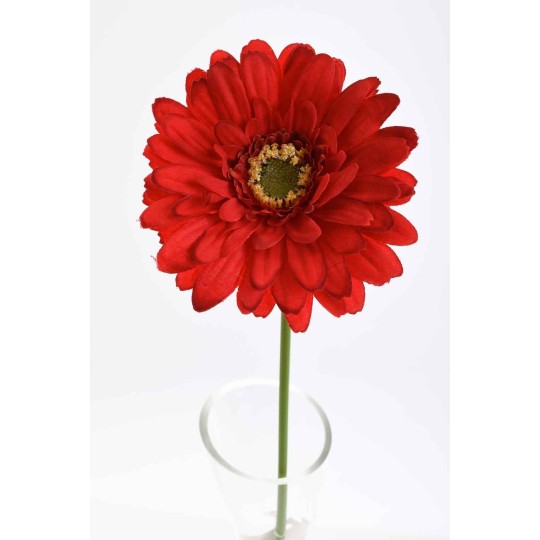 Gerbera singola in stelo 47 CM - Vari Colori - Rosso