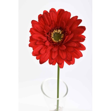 Gerbera singola in stelo 47 CM - Vari Colori - Rosso