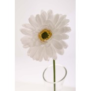 Gerbera singola in stelo 47 CM - Vari Colori - Bianco