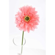 Gerbera singola in stelo 47 CM - Vari Colori - Rosa