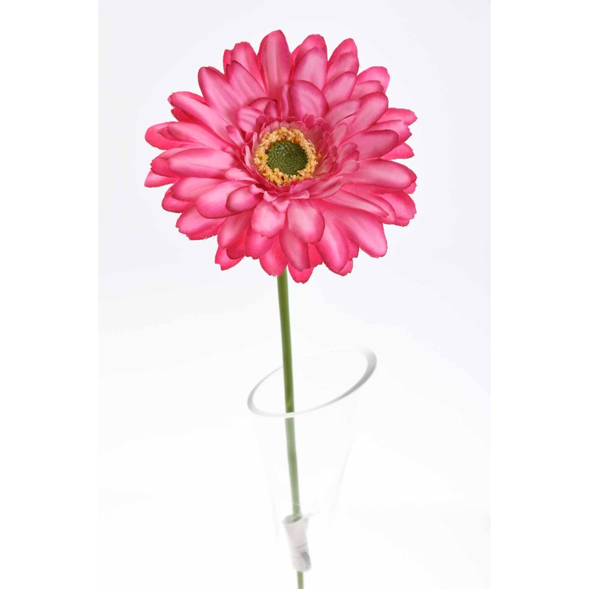 Gerbera singola in stelo 47 CM - Vari Colori - Fuxia