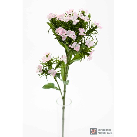 Garofanino Cinese 61 CM in vari colori - Rosa screziato