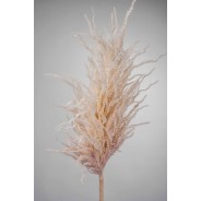 Pampas - 124 CM in diversi colori - rosa