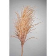 Pampas - 124 CM in diversi colori - Crema