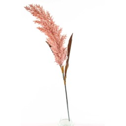 Sorgo in stelo ramificato 90 CM disponibile in vari colori -Rosa