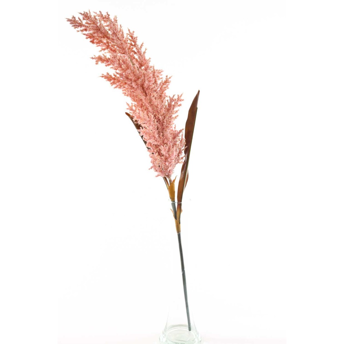 Sorgo in stelo ramificato 90 CM disponibile in vari colori -Rosa