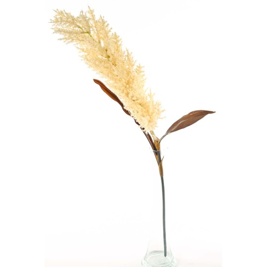 Sorgo in stelo ramificato 90 CM disponibile in vari colori - Crema