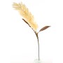 Sorgo in stelo ramificato 90 CM disponibile in vari colori - Crema