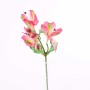 Alstromeria 39 cm 3 fiori e 3 boccioli Rosa chiaro e Rosa fucsia