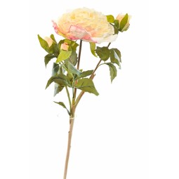 Peonia con bocciolo - 55 CM in diversi colori - Cipria