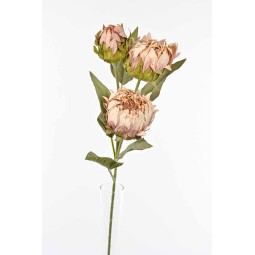 Protea in ramo  con tre fiori - 78 Cm disponiblie in vari colori - Avorio