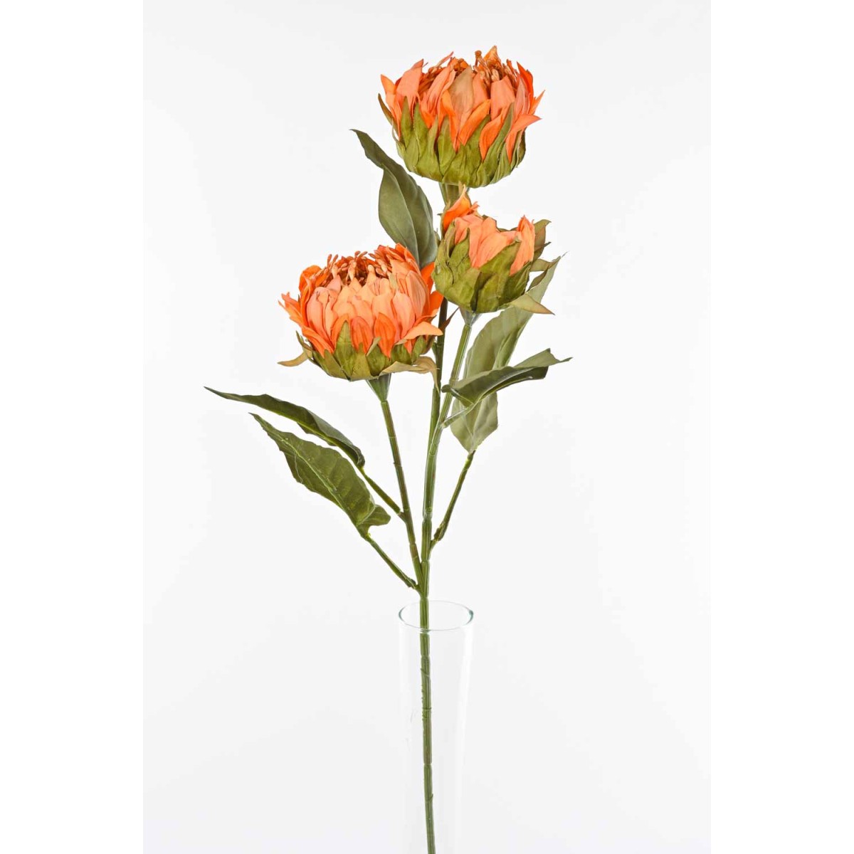 Protea in ramo  con tre fiori - 78 Cm disponiblie in vari colori - Arancio