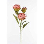 Protea in ramo  con tre fiori - 78 Cm disponiblie in vari colori - Rosa