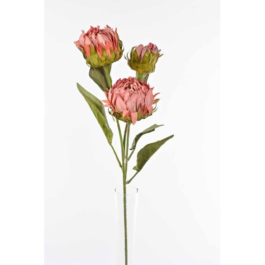 Protea in ramo  con tre fiori - 78 Cm disponiblie in vari colori - Rosa