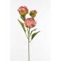 Protea in ramo  con tre fiori - 78 Cm disponiblie in vari colori - Rosa