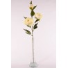 Peonia in ramo con 3 fiori - 80 cm. in diversi colori - Crema