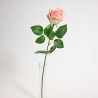 Rosa in ramo da cm 64 in due colori - Rosa