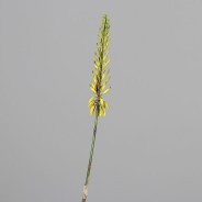 Aloe in ramo - 81 Cm / Giallo e verde