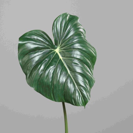 Alocasia in foglia - 85 Cm / Verde