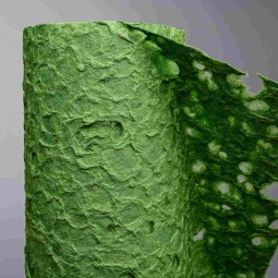 Bobina in carta "Roccia" - 75 Cm x 5 M / Verde