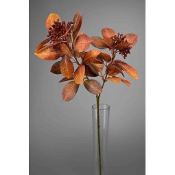 Fico in ramo - 69 Cm / Rosso