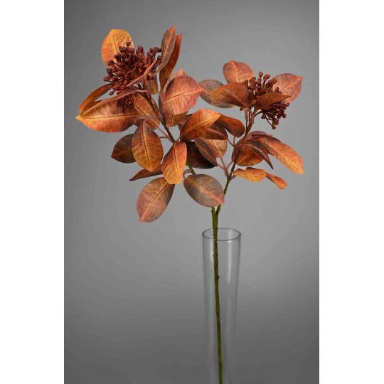 Fico in ramo - 69 Cm / Rosso