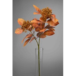 Fico in ramo - 69 Cm / Arancione