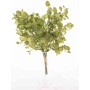 Bouquet di Eucalipto 33 cm - Verde