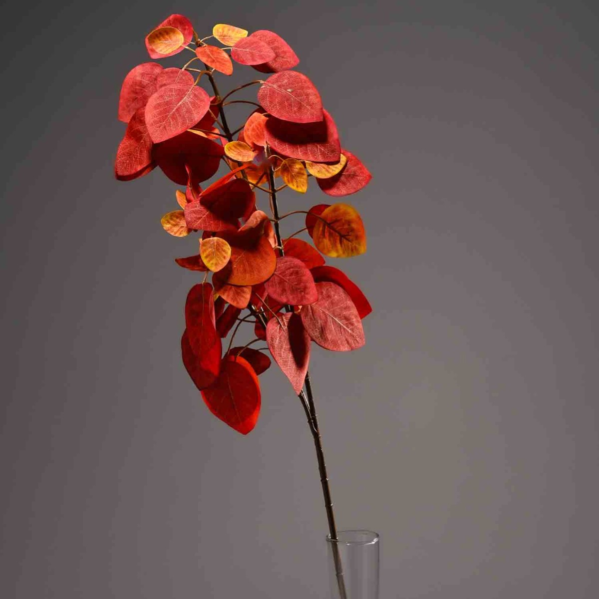 Cotinus in ramo - 92 Cm / Rosso