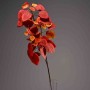 Cotinus in ramo - 92 Cm / Rosso