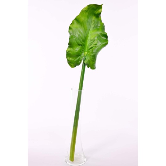 Calla decorativa in foglia - 60 Cm / Verde