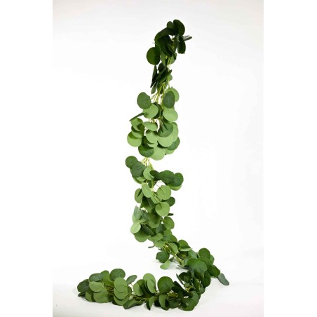 Eucalipto in festone - 190 Cm / Verde