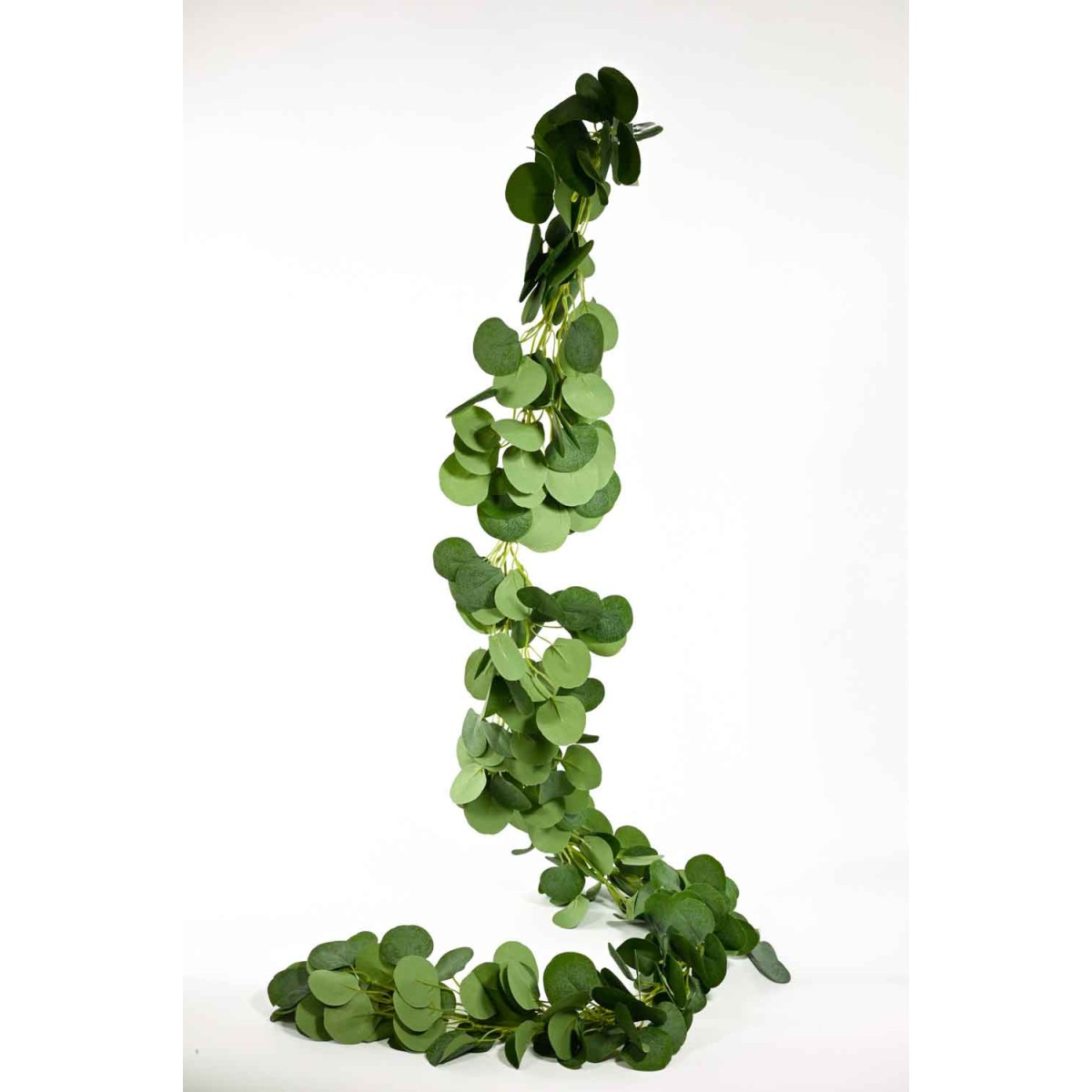 Eucalipto in festone - 190 Cm / Verde