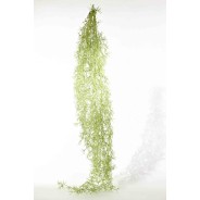 Tillandsia in mazzo cadente - 140 Cm / Verde
