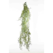 Tillandsia in mazzo cadente - 60 Cm / Verde