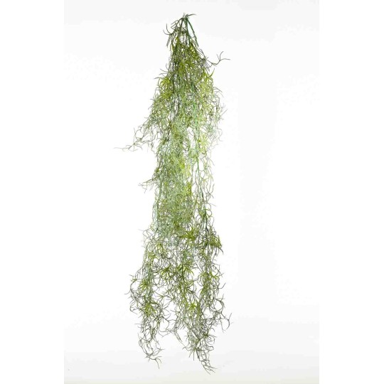 Tillandsia in mazzo cadente - 60 Cm / Verde