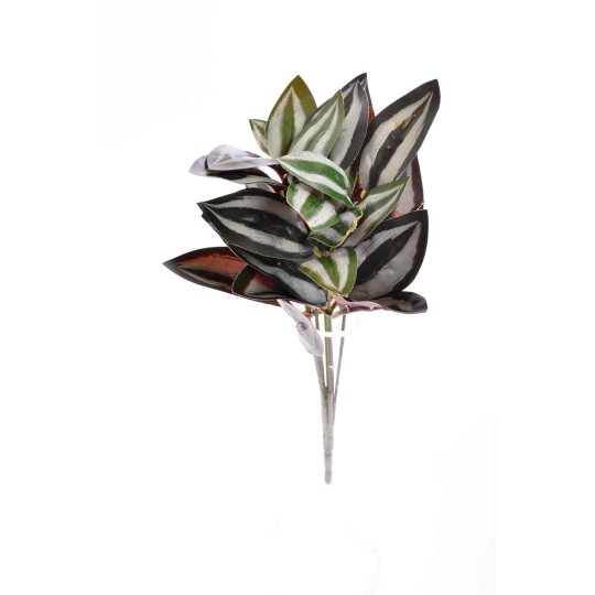 Mazzo di Tredescantia porpora e verde