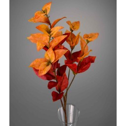 Eucalipto in ramo - 61 Cm / Arancione