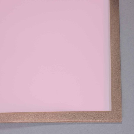 Fogli con bordo oro 20 Pezzi - 56,5x56,5 Cm / Rosa