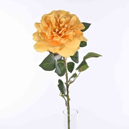 Rosa singola - 77 CM in diversi colori - Giallo