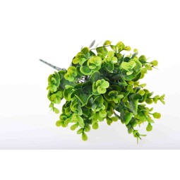 Mazzo di Eucalipto a foglia tonda 30 CM