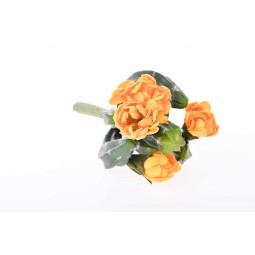 Mini Cactus con fiori gialli