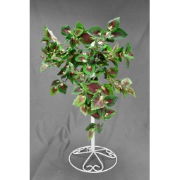 Mazzo di Coleus - 50 Cm / Variegato