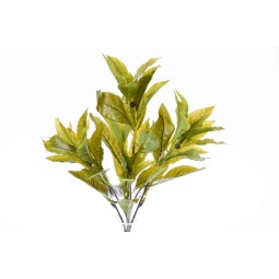 Piccolo mazzo di Alloro