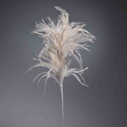 Piuma di struzzo ramificata - 62 Cm / Bianco