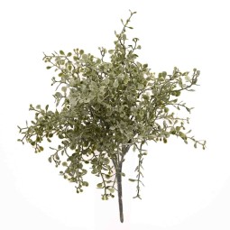 Capelvenere in mazzo - 25 CM verde ghiaccio